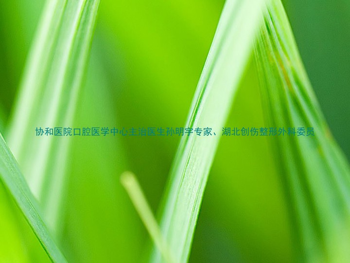 协和医院口腔医学中心主治医生孙明宇专家、湖北创伤整形外科委员