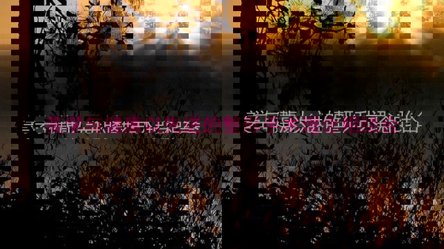 美学与健康以先进的整形手术理念相结合