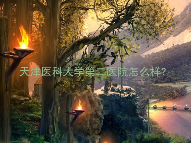 天津医科大学第二医院怎么样?