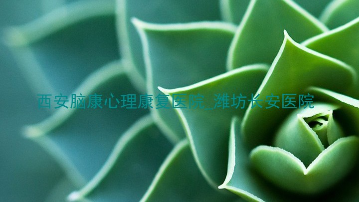 西安脑康心理康复医院_潍坊长安医院