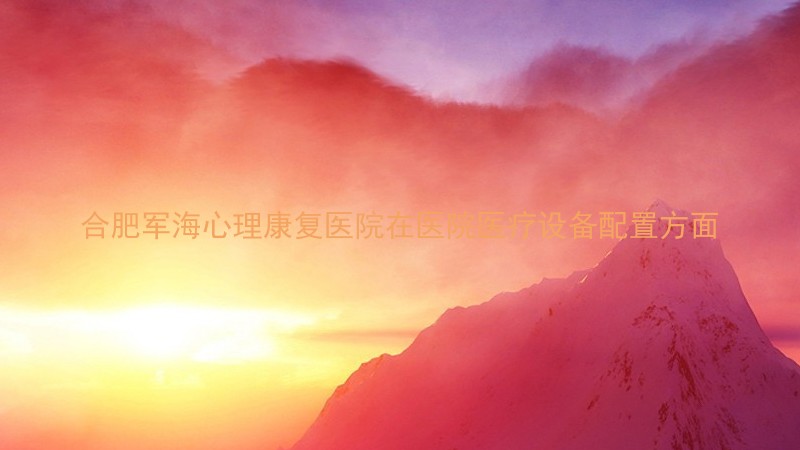 合肥军海心理康复医院在医院医疗设备配置方面