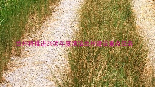 兰州将推进20项年度清洁兰州建设重点任务