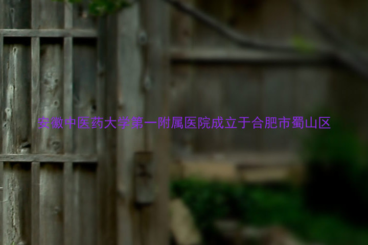 安徽中医药大学第一附属医院成立于合肥市蜀山区