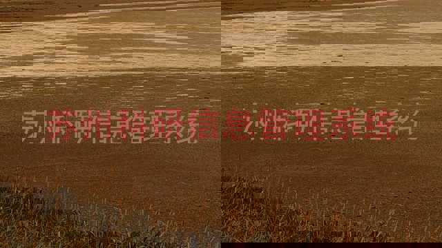 苏州科研信息管理系统