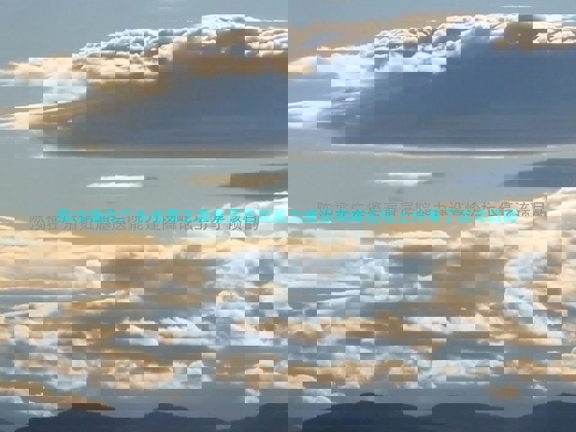 陈汝福在广东省第五届基层医院能力建设高峰论坛上分享了该项目的