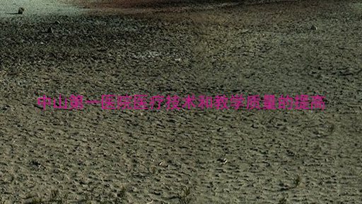 中山第一医院医疗技术和教学质量的提高