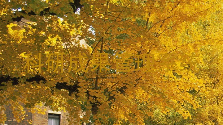 科研成果管理系统