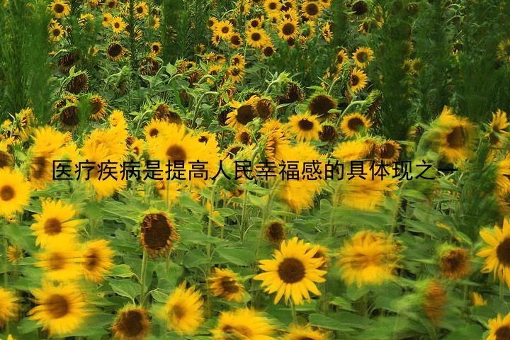 医疗疾病是提高人民幸福感的具体现之一