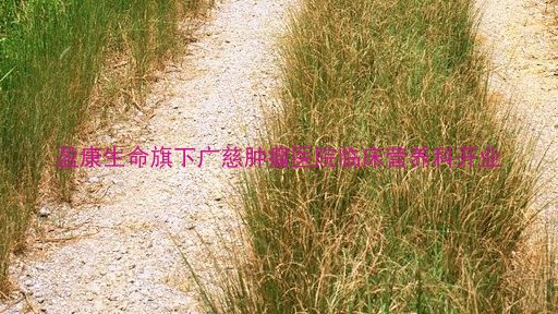盈康生命旗下广慈肿瘤医院临床营养科开业