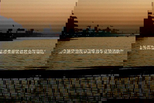 上海长征医院刘世远教授代表中国医学会放射学分会祝贺项目团队批