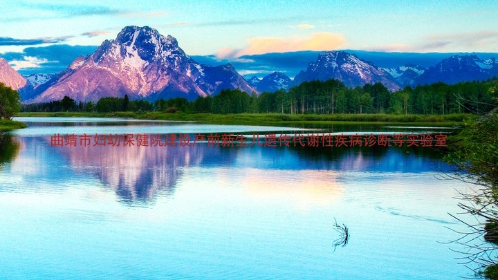 曲靖市妇幼保健院建设产前新生儿遗传代谢性疾病诊断等实验室