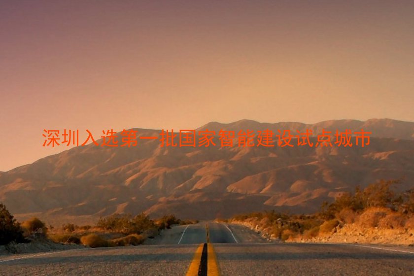 深圳入选第一批国家智能建设试点城市