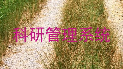 科研管理系统