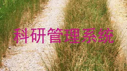 科研管理系统
