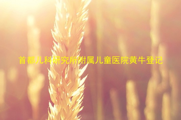 首都儿科研究所附属儿童医院黄牛登记