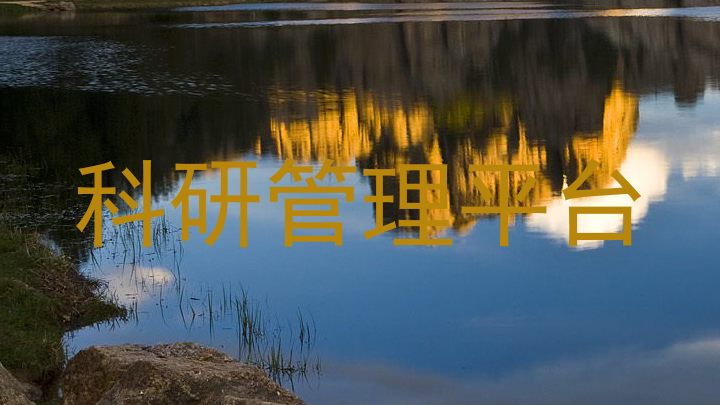 科研管理平台