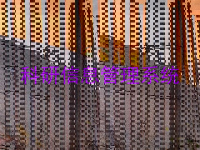 科研信息管理系统