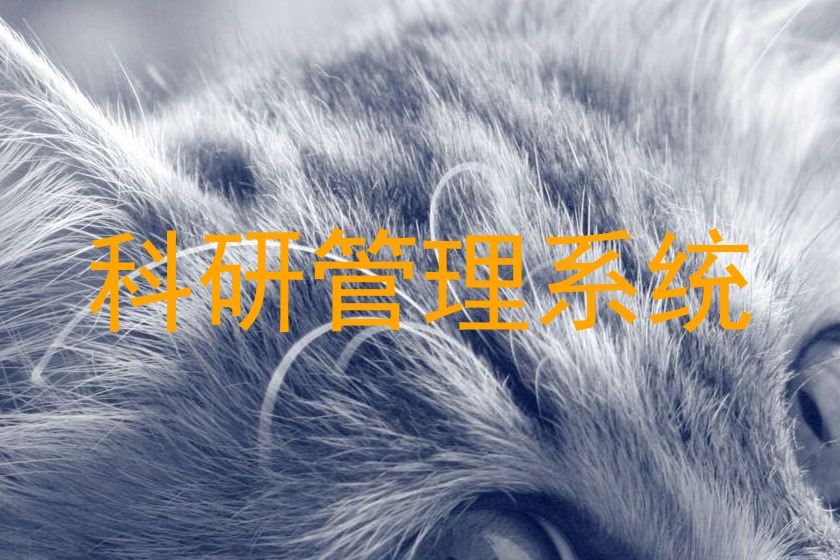 科研管理系统