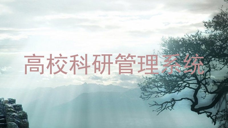 高校科研管理系统