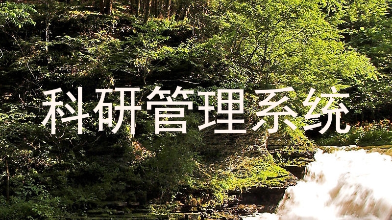 科研管理系统