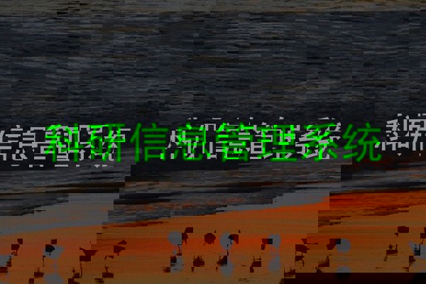 科研信息管理系统