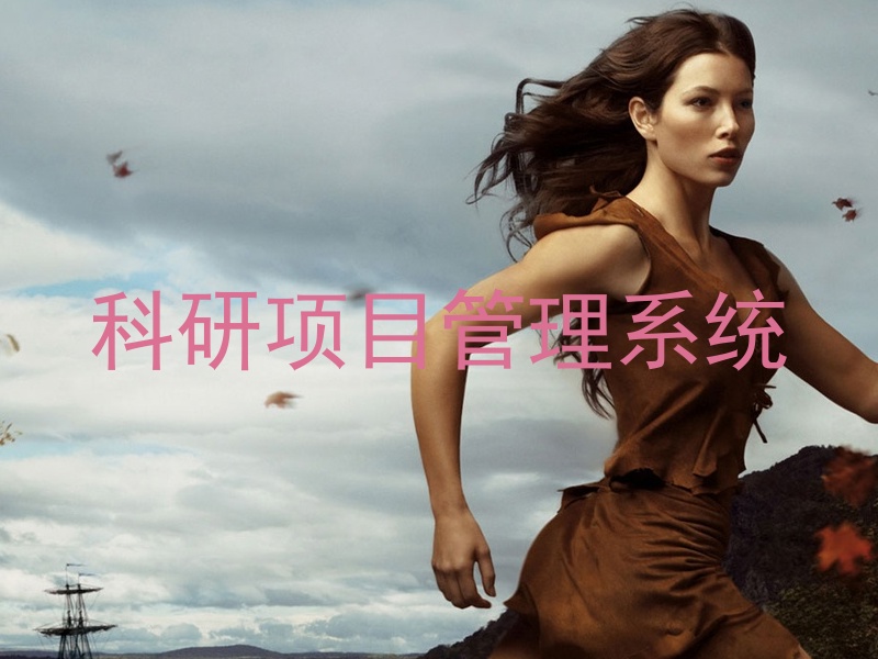 科研项目管理系统