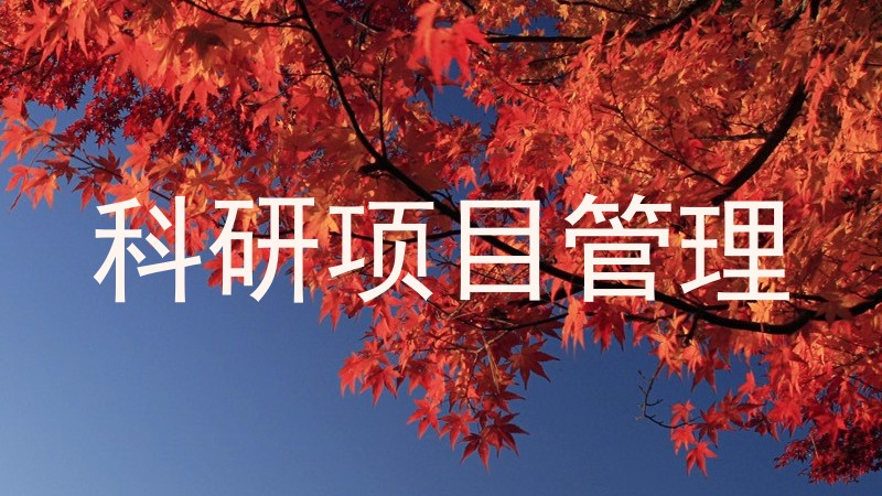 科研项目管理