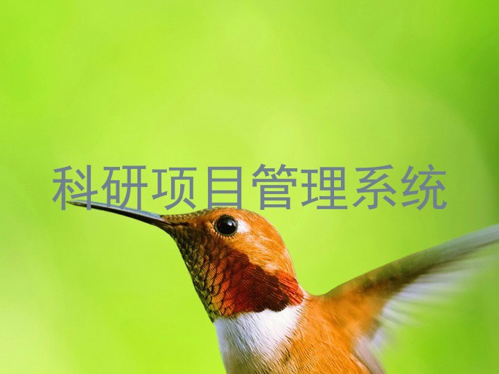科研项目管理系统