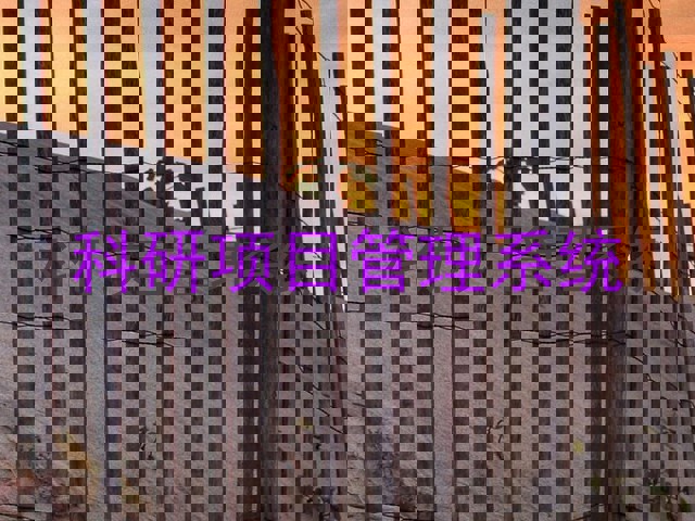 科研项目管理系统