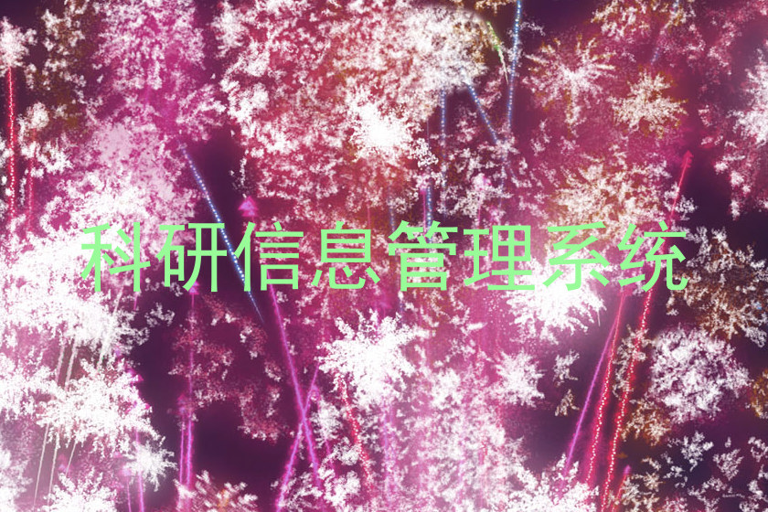 科研信息管理系统