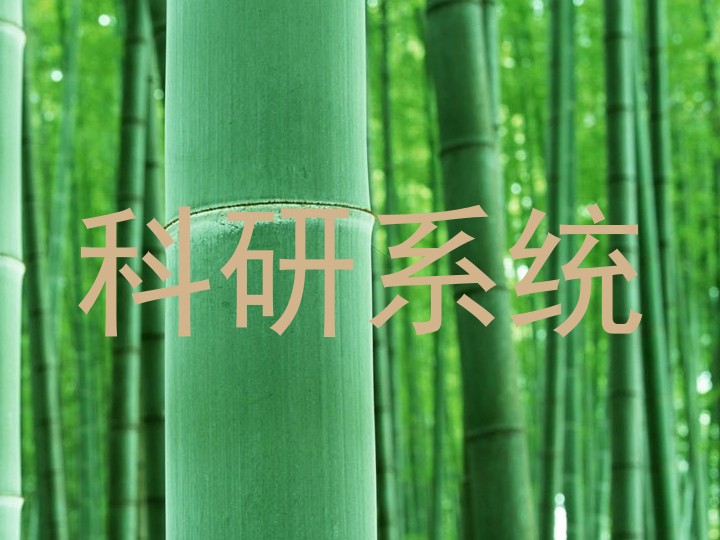 科研系统
