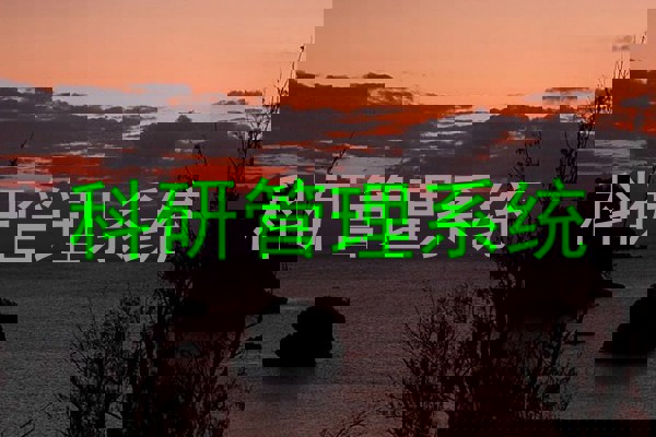 科研管理系统