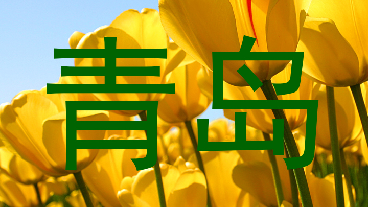 青岛