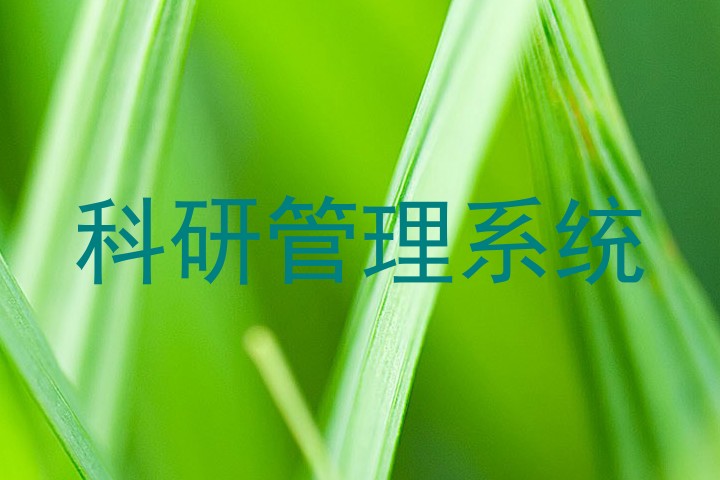 科研管理系统