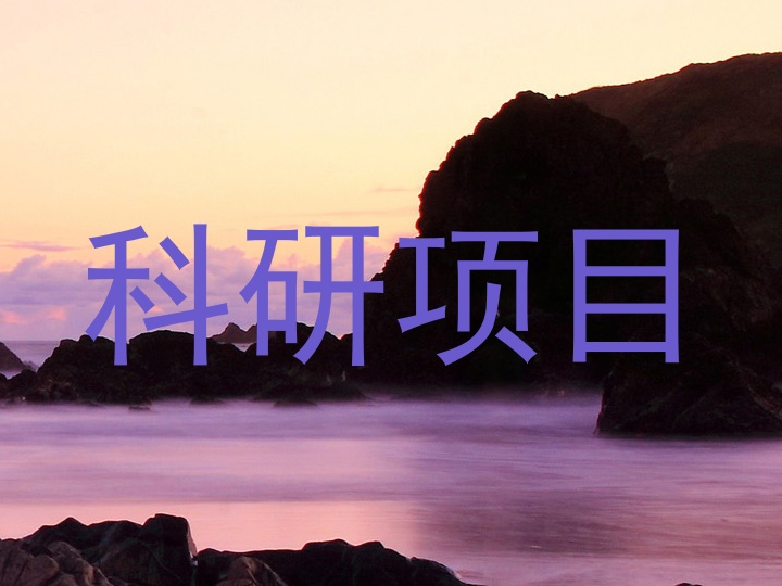 科研项目