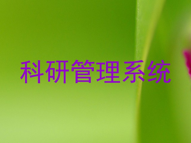 科研管理系统