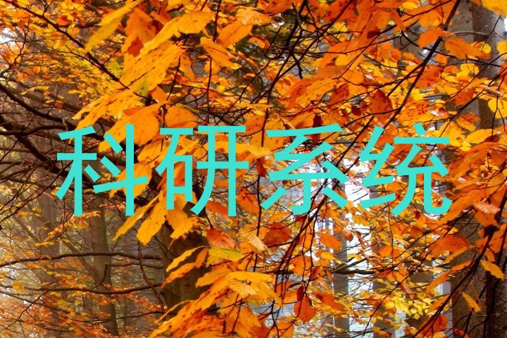 科研系统