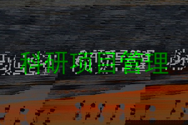 科研项目管理