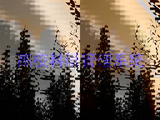 高校科研管理系统