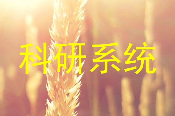 科研系统