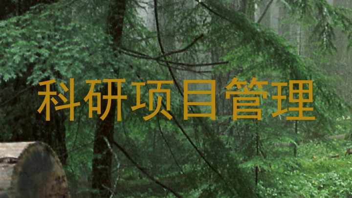 科研项目管理