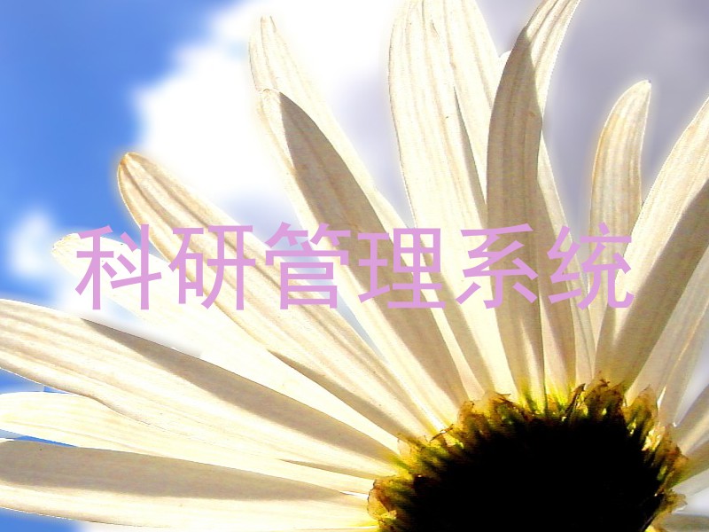 科研管理系统