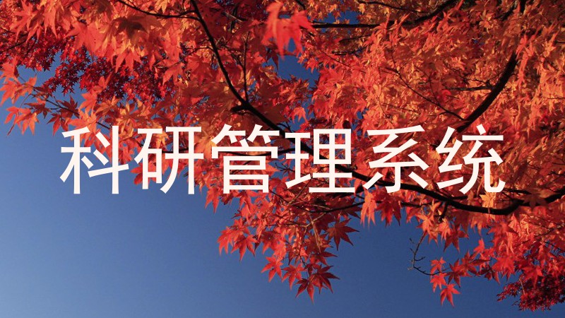 科研管理系统