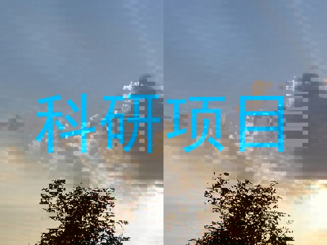 科研项目
