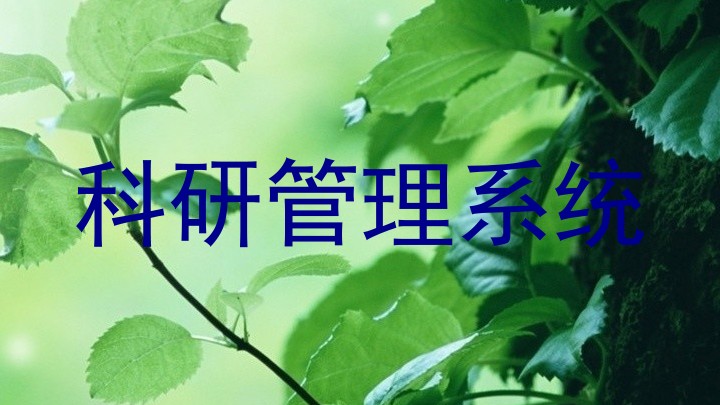 科研管理系统