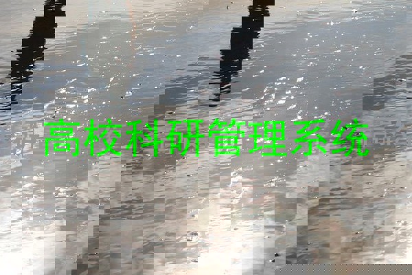 高校科研管理系统