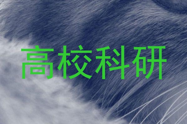 高校科研