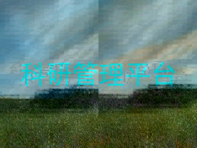 科研管理平台