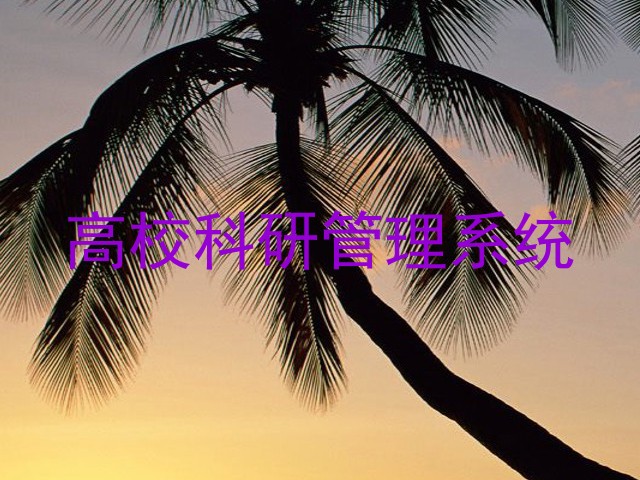 高校科研管理系统