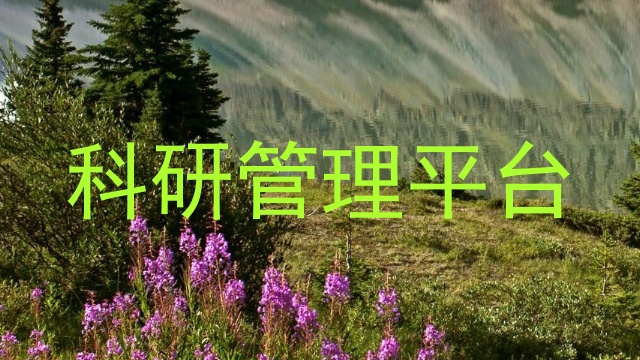 科研管理平台